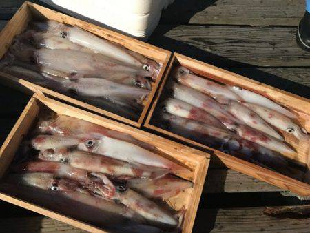 寿裕 （YOSHIHIRO） 釣果