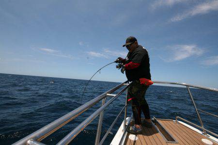 オーシャンズ　京都 釣果