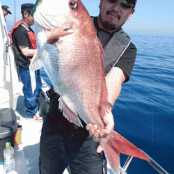 遊漁船ブルーウッズ 釣果