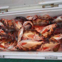 第二むつ漁丸 釣果