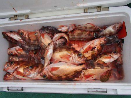 第二むつ漁丸 釣果