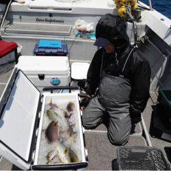 第二大福丸 釣果