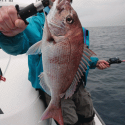 遊漁船ブルーウッズ 釣果