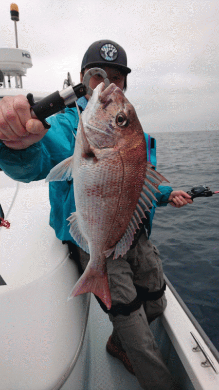 遊漁船ブルーウッズ 釣果