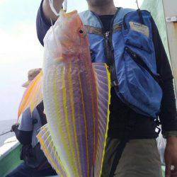 遊漁船 新鋭丸 釣果