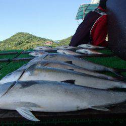 カタタのつり堀 釣果