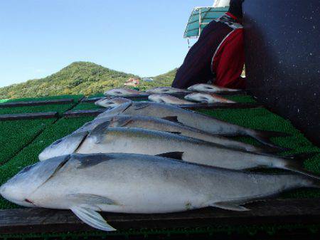 カタタのつり堀 釣果