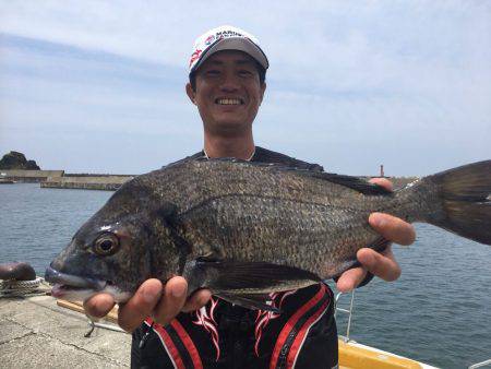 由良渡船 釣果