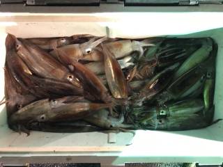 なかくに丸 釣果