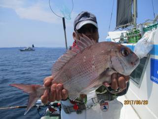 なかくに丸 釣果