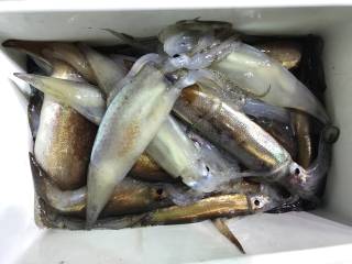 なかくに丸 釣果