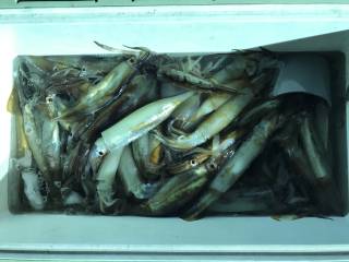 なかくに丸 釣果