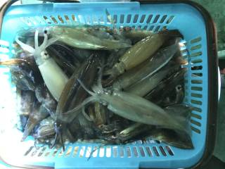 なかくに丸 釣果