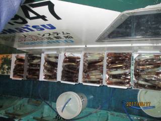 なかくに丸 釣果