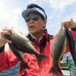 大進丸(愛知) 釣果