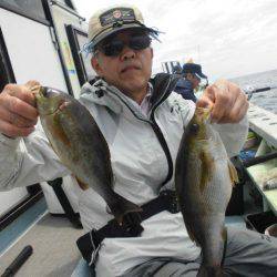 大進丸(愛知) 釣果