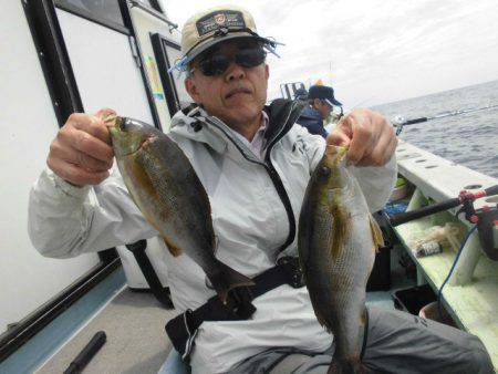 大進丸(愛知) 釣果