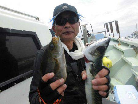 大進丸(愛知) 釣果