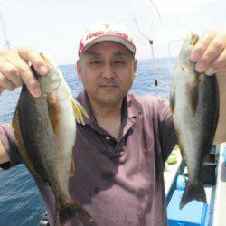 大進丸(愛知) 釣果