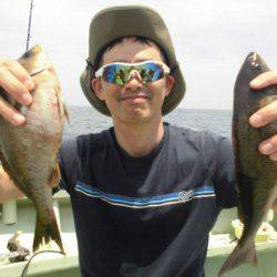 大進丸(愛知) 釣果