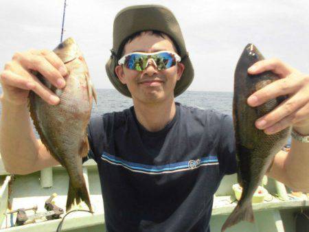 大進丸(愛知) 釣果