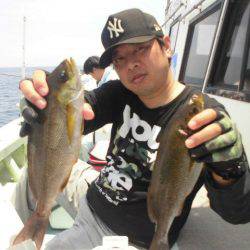 大進丸(愛知) 釣果