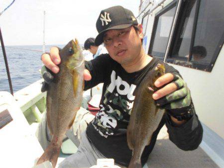 大進丸(愛知) 釣果