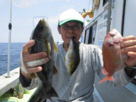 大進丸(愛知) 釣果