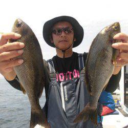 大進丸(愛知) 釣果