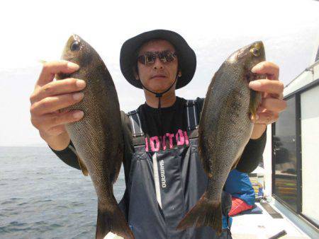 大進丸(愛知) 釣果