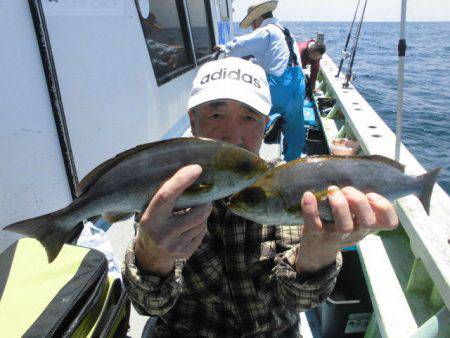 大進丸(愛知) 釣果