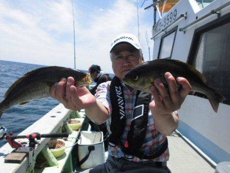 大進丸(愛知) 釣果
