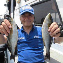 大進丸(愛知) 釣果