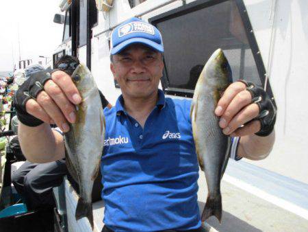 大進丸(愛知) 釣果