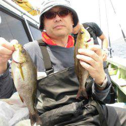 大進丸(愛知) 釣果