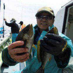 大進丸(愛知) 釣果