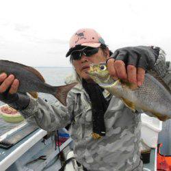 大進丸(愛知) 釣果