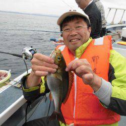 大進丸(愛知) 釣果