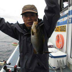 大進丸(愛知) 釣果