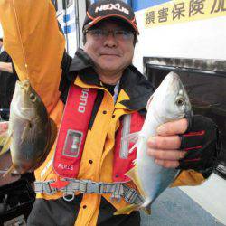 大進丸(愛知) 釣果