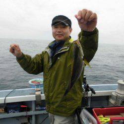 大進丸(愛知) 釣果