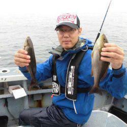 大進丸(愛知) 釣果