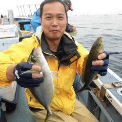 大進丸(愛知) 釣果