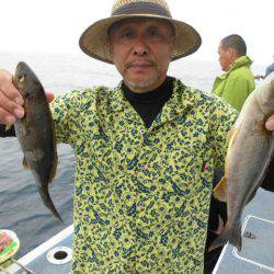 大進丸(愛知) 釣果