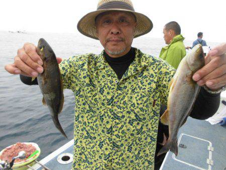 大進丸(愛知) 釣果