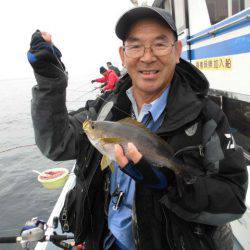 大進丸(愛知) 釣果