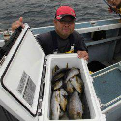 大進丸(愛知) 釣果
