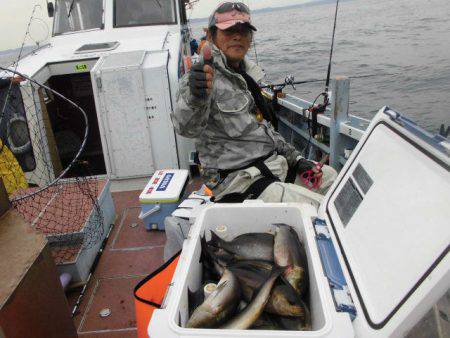 大進丸(愛知) 釣果