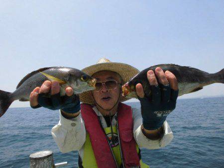 大進丸(愛知) 釣果