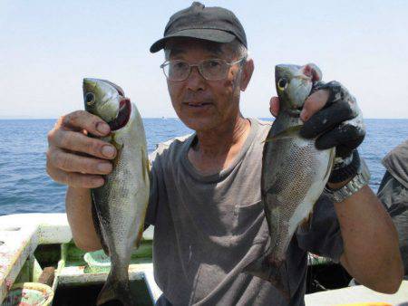 大進丸(愛知) 釣果
